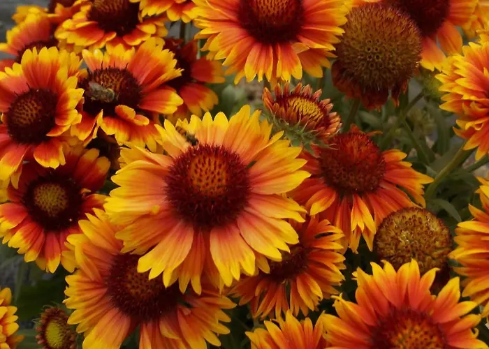 Haus Lisa Apartmán Reith im Alpbachtal